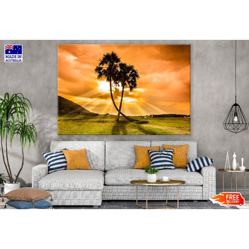 Toddy Palm Trees Sunset Photograph Print 100% Australian Made