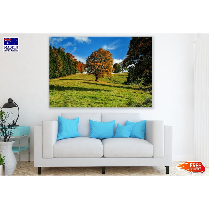 Tree Autumn Forest Landscape Photograph Print 100% Australian Made