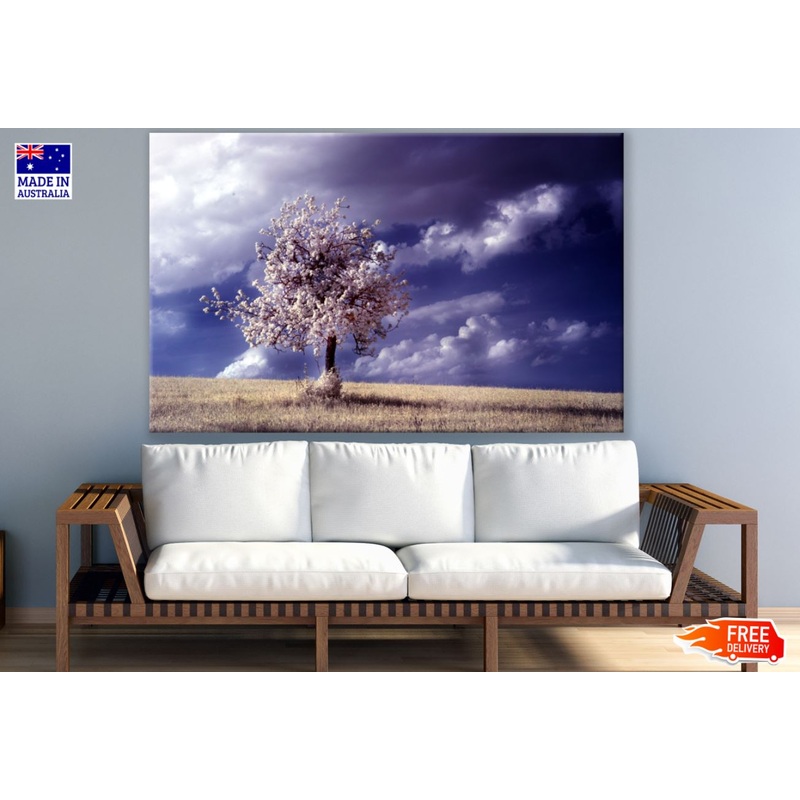 Tree in Meadow Scenery Photograph Print 100% Australian Made