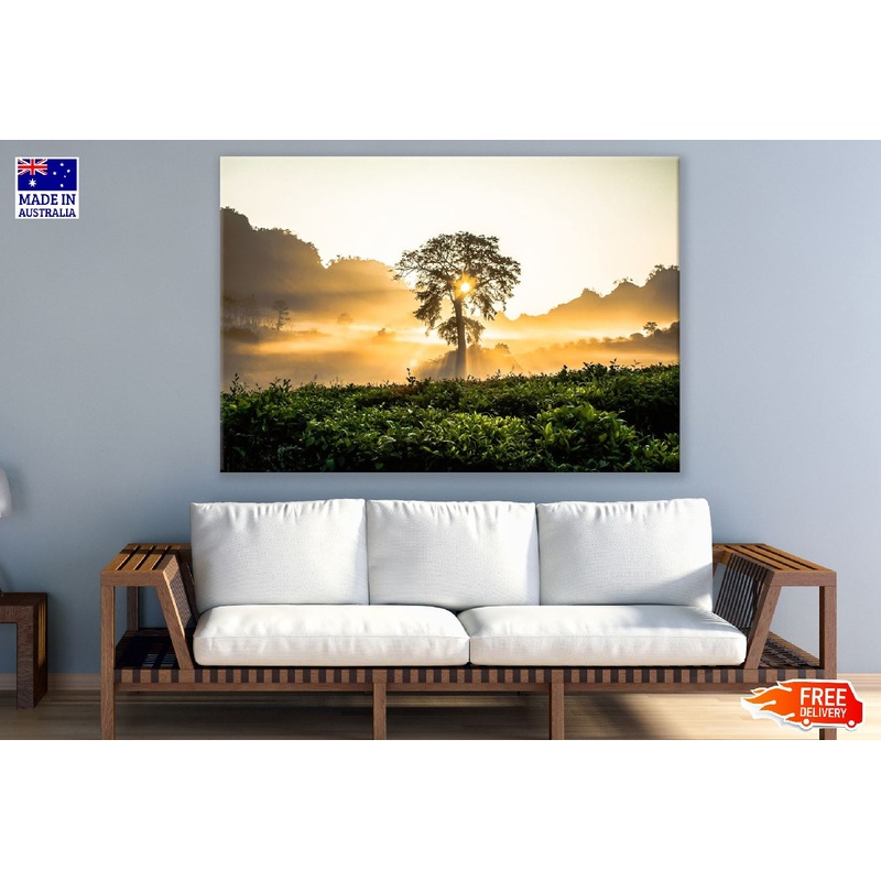 Tree Over Mountain Sunset Photograph Print 100% Australian Made