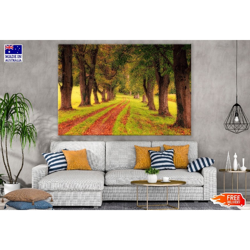 Tree Pathway Autumn Photograph Print 100% Australian Made
