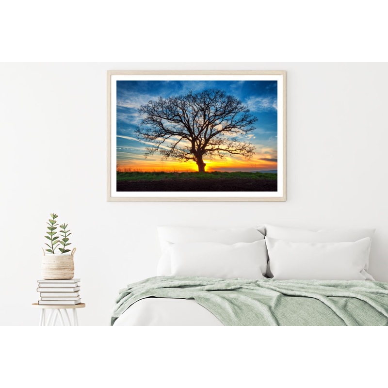 Tree & Sunset Sky Scenery View Home Decor Premium Quality Poster Print Choose Your Sizes