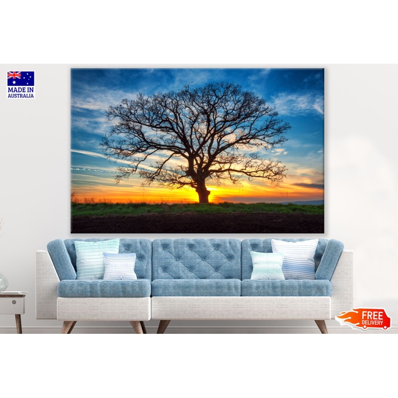 Tree & Sunset Sky Scenery View Paint Print 100% Australian Made