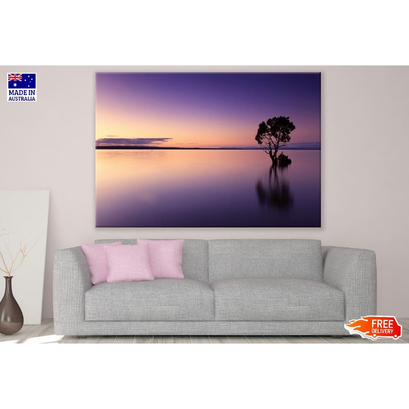 Tree View From Sea Sunset Photograph Print 100% Australian Made