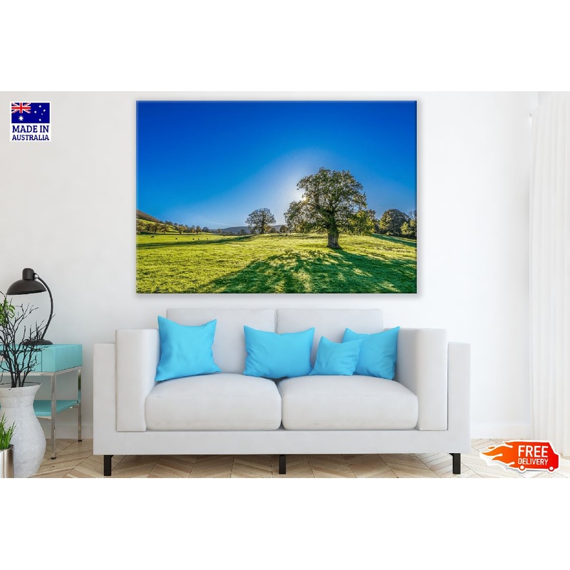 Trees on a Meadow and Blue Sky Photograph Print 100% Australian Made