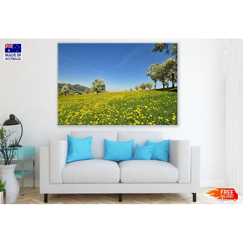 Trees on Flower Field Scenery Photograph  Print 100% Australian Made