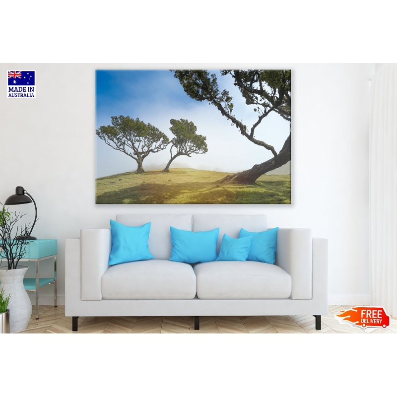 Trees on Mountain Sunset Photograph Print 100% Australian Made