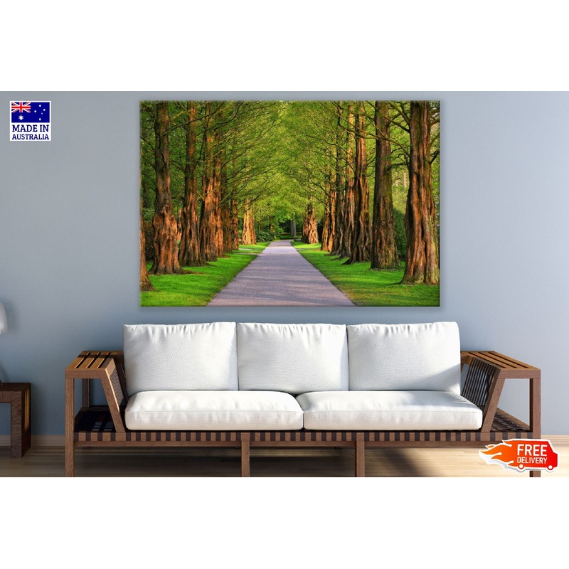 Trees On Park Photograph Print 100% Australian Made