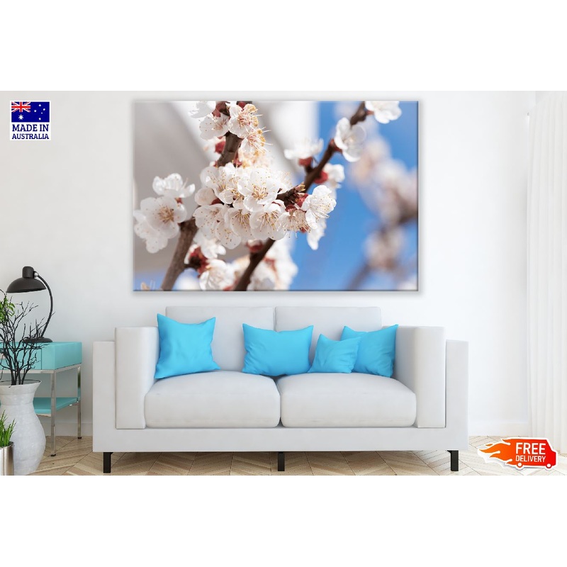 White Blossom Tree Photograph Print 100% Australian Made