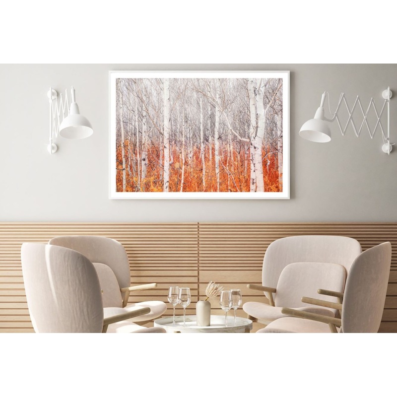 White Tree Forest Photograph Home Decor Premium Quality Poster Print Choose Your Sizes