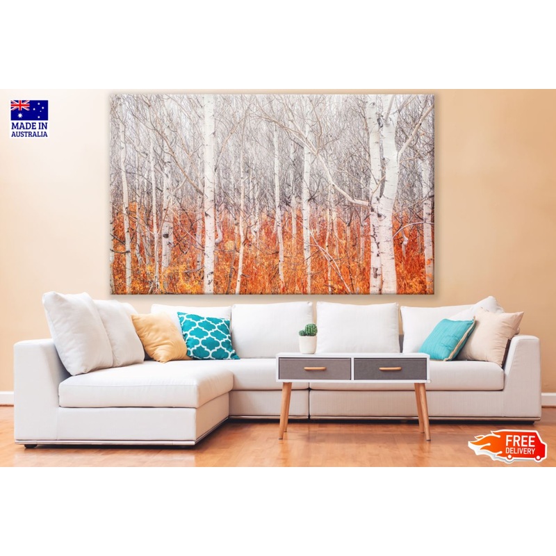 White Tree Forest Photograph Print 100% Australian Made