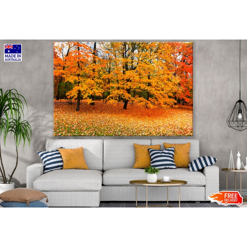 Yellow Autumn Forest Photograph Print 100% Australian Made