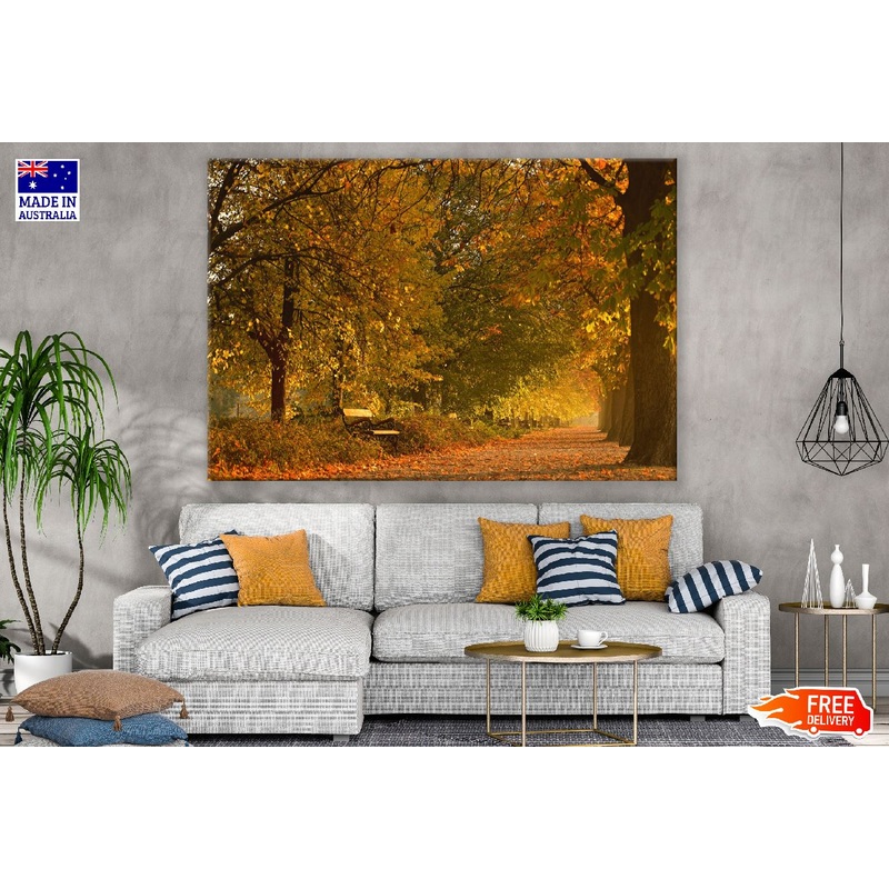 Yellow Maple Trees Autumn Scenery Photograph Print 100% Australian Made