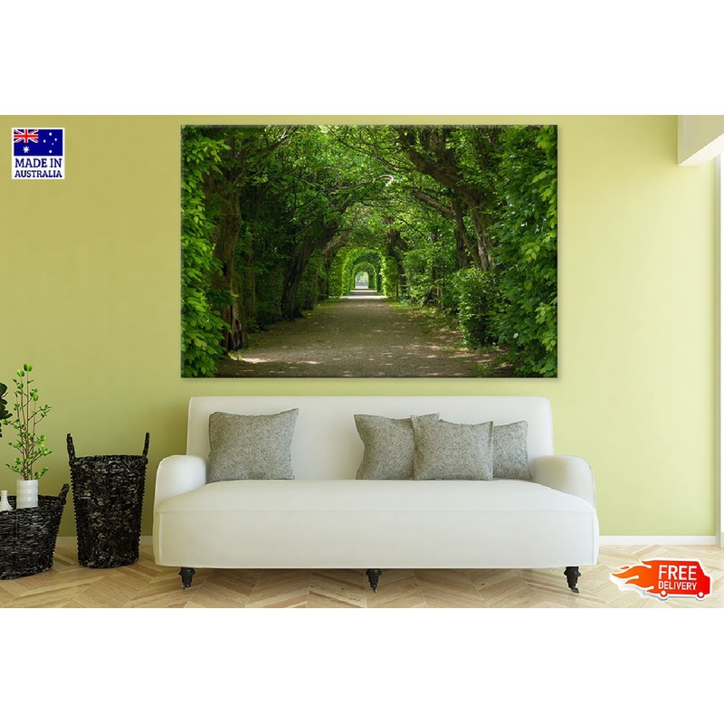 Arch Shaped Trees Photograph Print 100% Australian Made