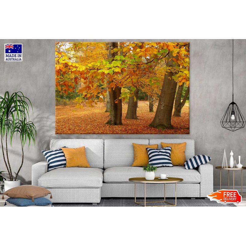 Autumn Forest & Ground Covered with Leaves Photograph Print 100% Australian Made
