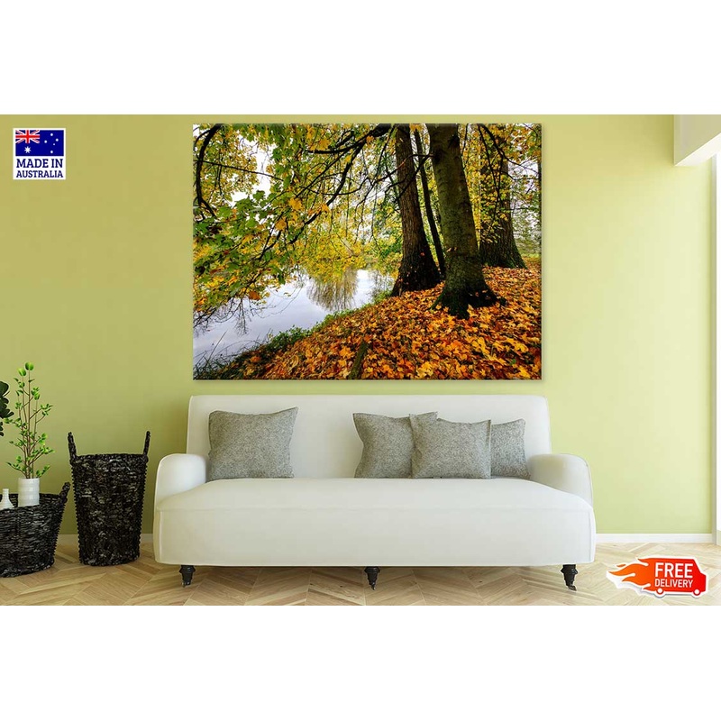 Autumn Forest Near Lake Photograph Print 100% Australian Made