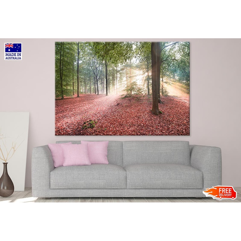 Autumn Leaves Filled Ground & Trees Photograph Print 100% Australian Made