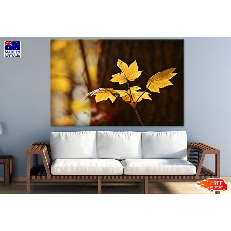 Autumn Leaves Photograph Print 100% Australian Made