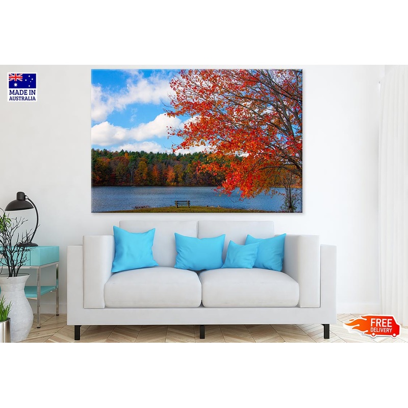 Autumn Tree & Bench Near Lake Scenery Photograph Print 100% Australian Made
