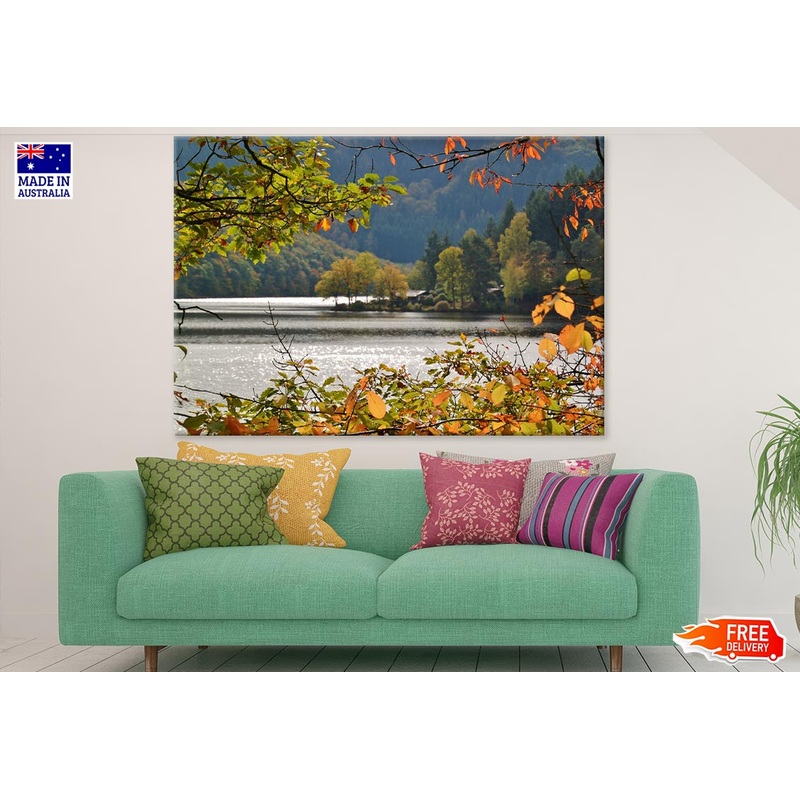 Autumn Tree Branched Near River Photograph Print 100% Australian Made