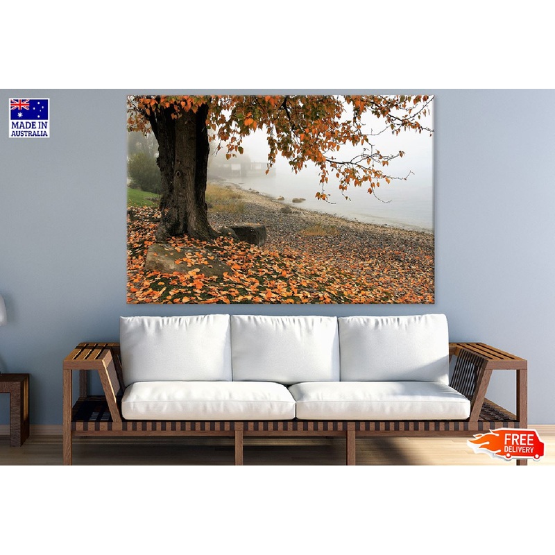 Autumn Tree Near Misty Lake Photograph Print 100% Australian Made