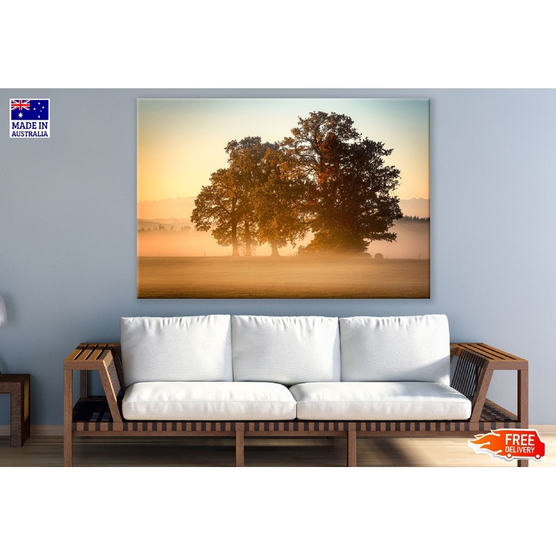 Autumn Trees During Sunset Photograph Print 100% Australian Made
