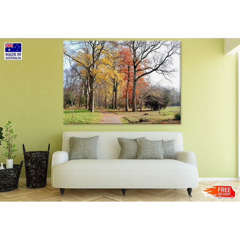 Autumn Trees in Field Photograph Print 100% Australian Made