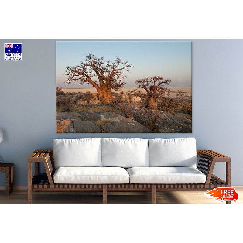 Baobab Tree & Rocks Photograph Print 100% Australian Made