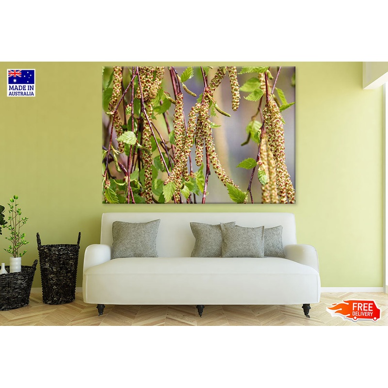 Birch Tree Closeup Photograph Print 100% Australian Made