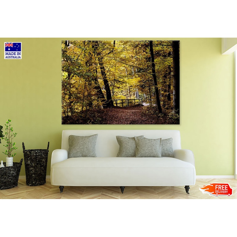 Bridge in Autumn Tree Forest Photograph Print 100% Australian Made