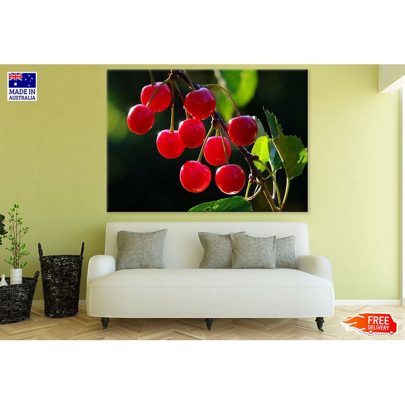 Cherries Closeup Photograph Print 100% Australian Made