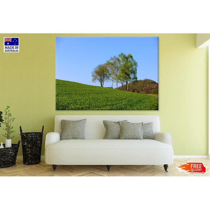 Tall Trees & Grass Field Photograph Print 100% Australian Made