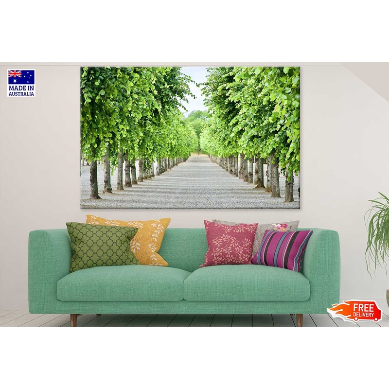 Tall Trees Row Photograph Print 100% Australian Made