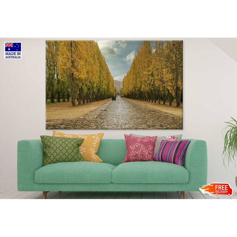 Tall Yellow Flower Trees Along Road Photograph Print 100% Australian Made