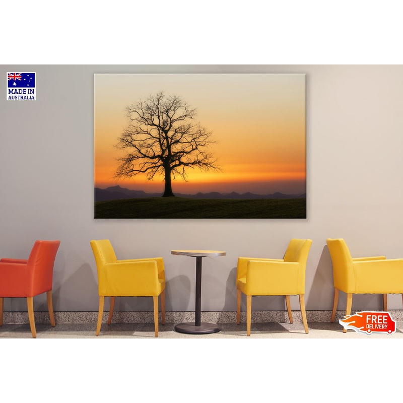 Tree Bald Sunset Photograph Print 100% Australian Made