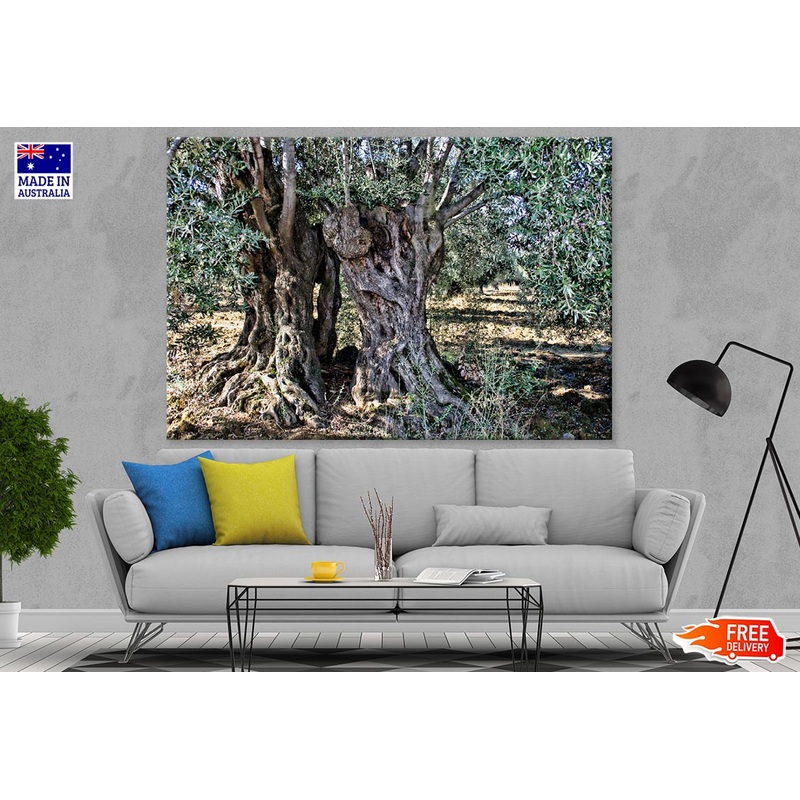 Tree Closeup Photograph Print 100% Australian Made