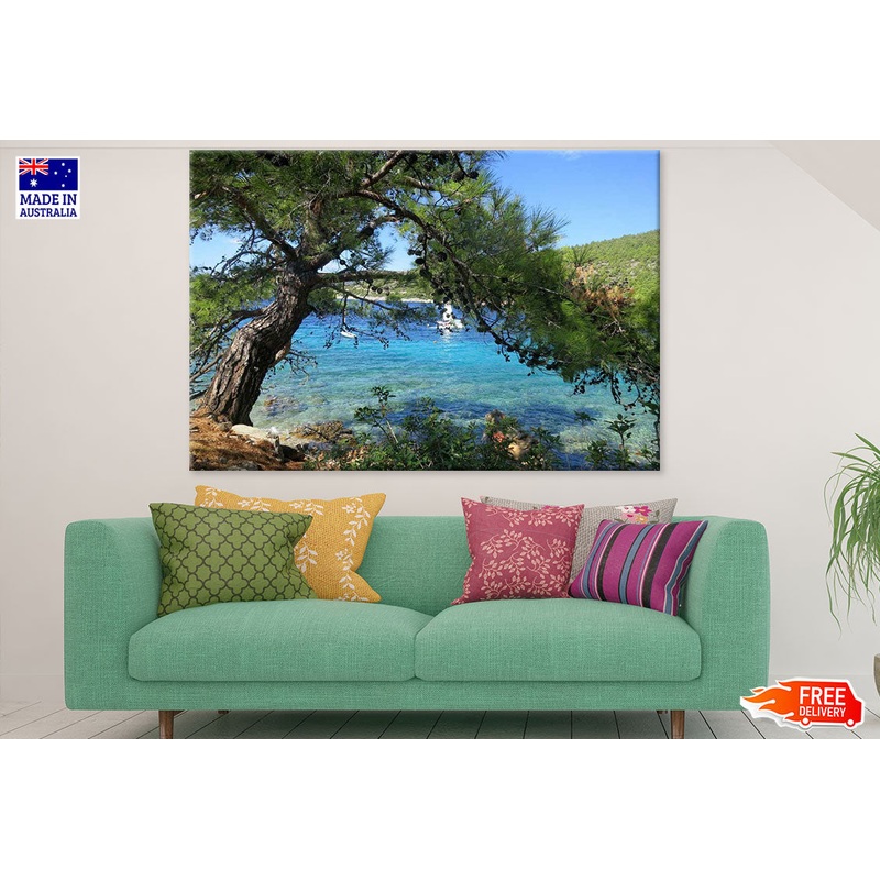 Tree Near Sea Photograph Print 100% Australian Made