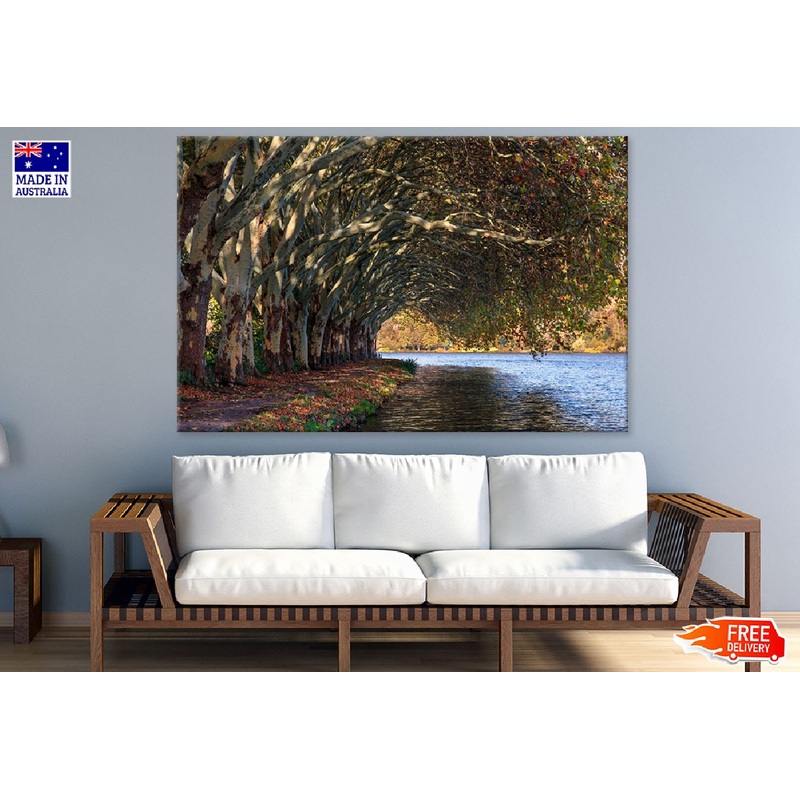 Tree Row Near Lake Photograph Print 100% Australian Made