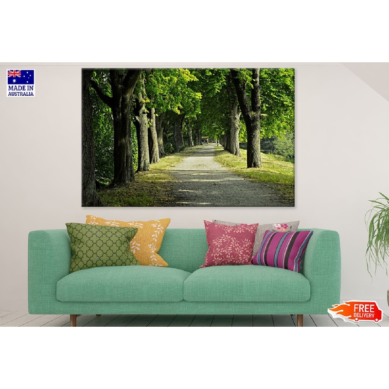 Tree Row & Road Photograph Print 100% Australian Made
