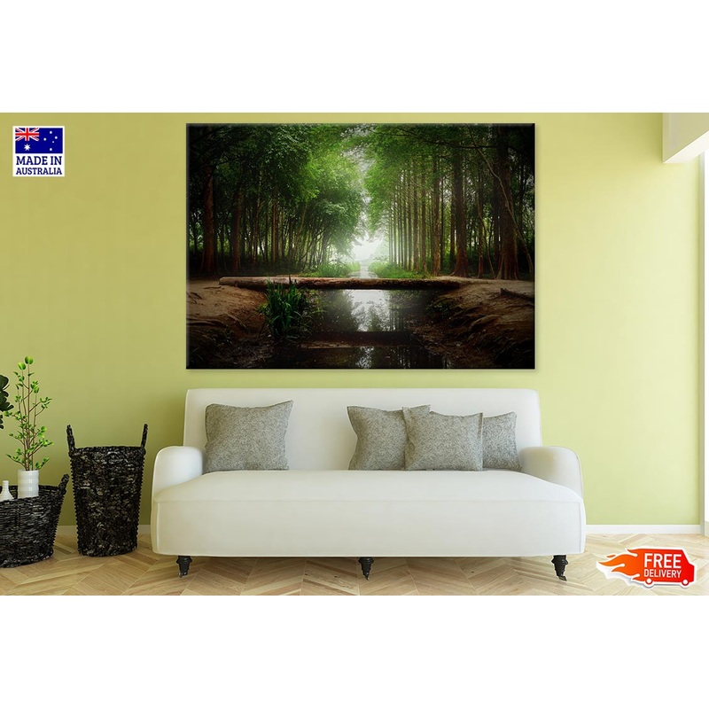 Tree Trunk Bridge in Dark Misty Forest Photograph Print 100% Australian Made