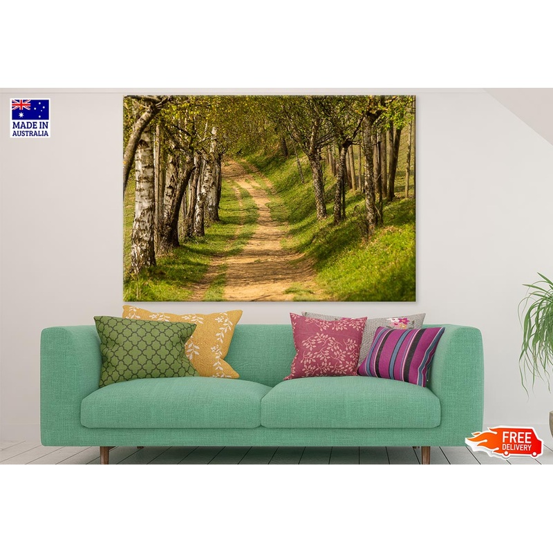 Trees Along Road Photograph Print 100% Australian Made