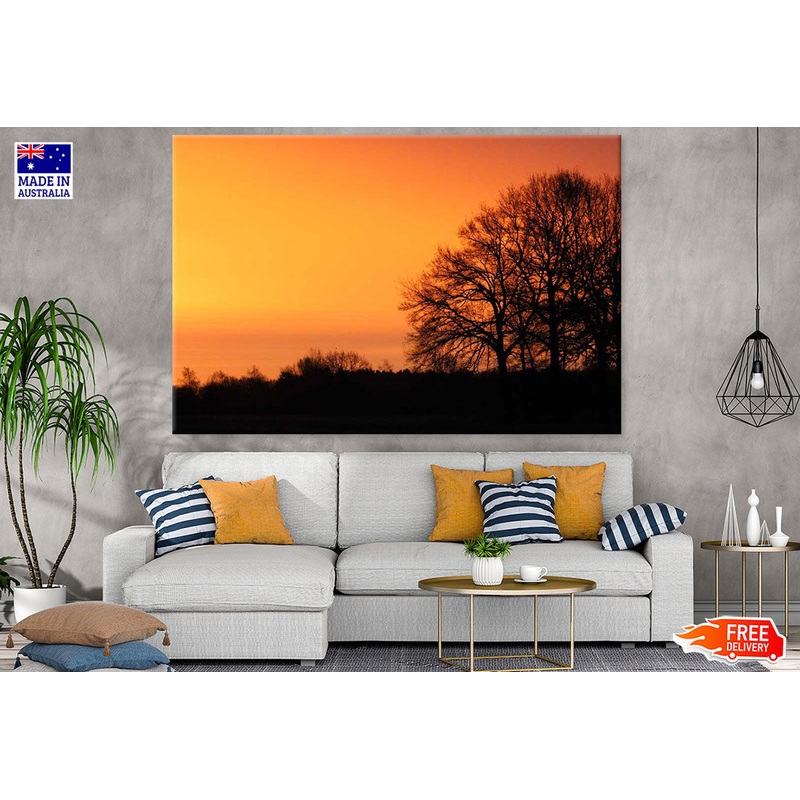 Trees at Sunset Photograph Print 100% Australian Made