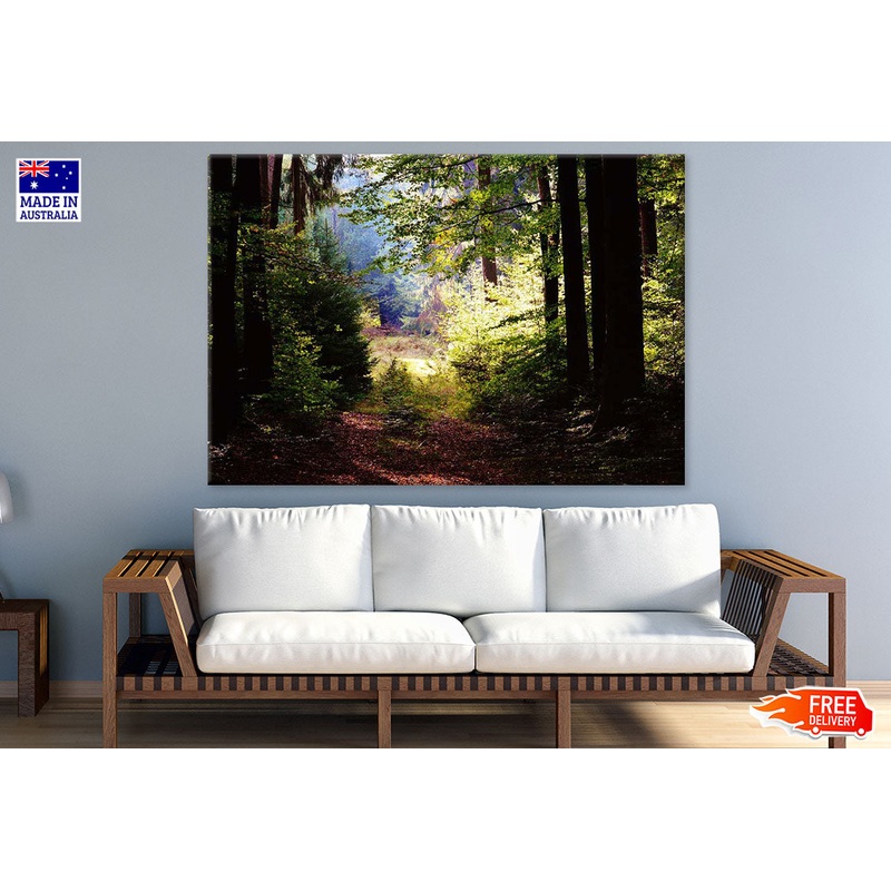 Trees & Bushes Closeup Photograph Print 100% Australian Made