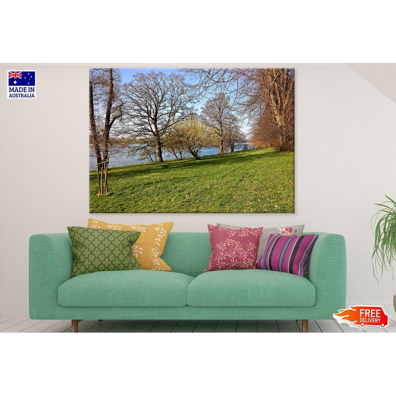 Trees Near River Photograph Print 100% Australian Made