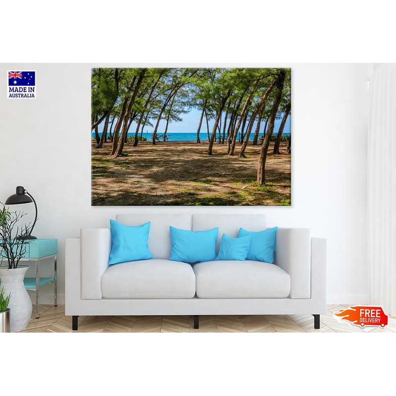Trees Near Sea Photograph Print 100% Australian Made