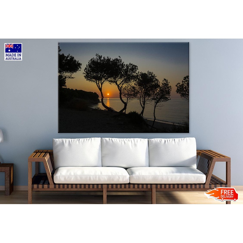 Trees Near Sea & Sunset Scenery Photograph Print 100% Australian Made