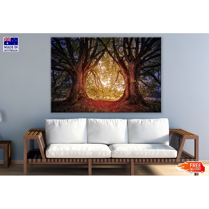Trees on Sunset Photograph Print 100% Australian Made