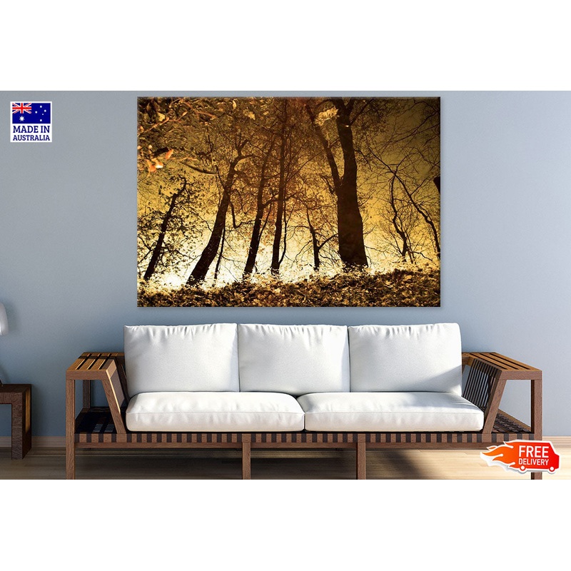 Trees Reflection on Water Photograph Print 100% Australian Made
