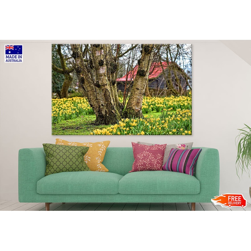 Trees & Yellow Flower Field Photograph Print 100% Australian Made
