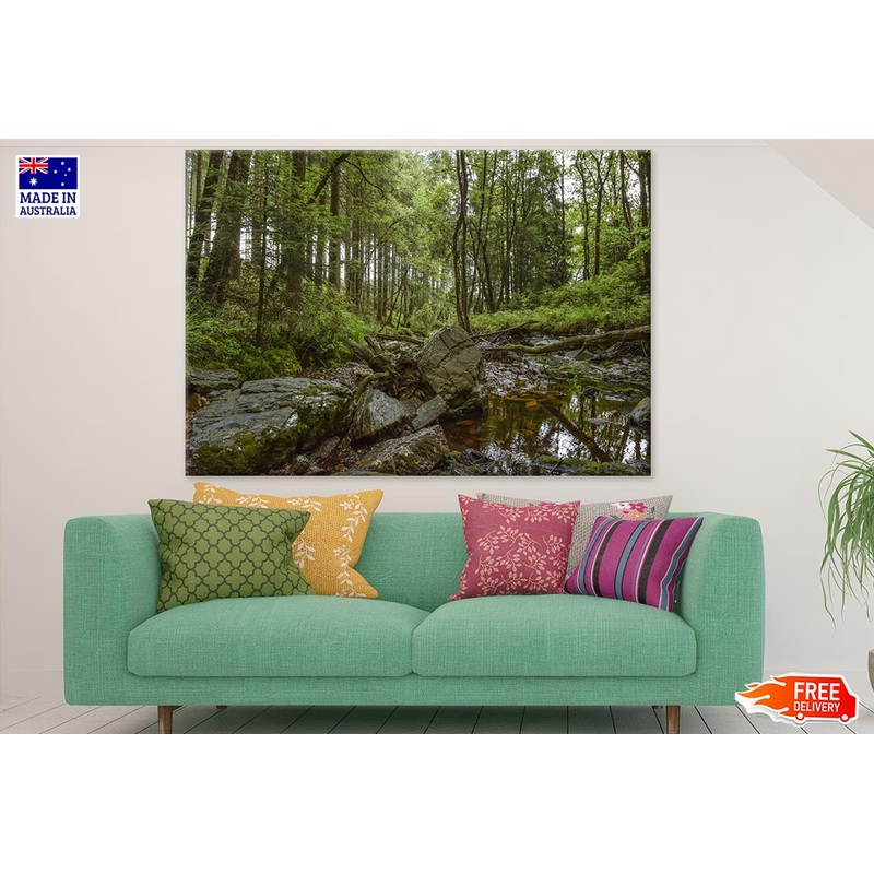 Waterhole in Forest with Rocks Photograph Print 100% Australian Made